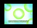 Billionfold Inc Frederator Incorperated Nickelodeon Sony Pictures Television 2008