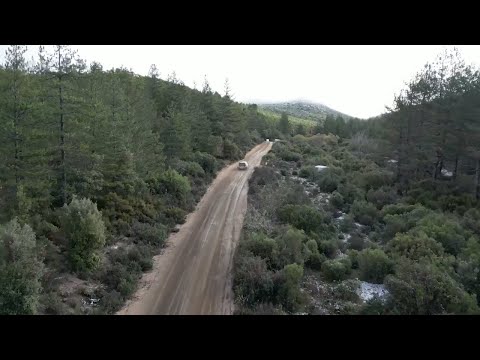 Qui Motori - 26 novembre 2025