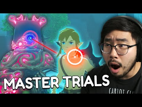 Zelda Pro Plays Trial of the Sword For the First Time! (Master Mode)