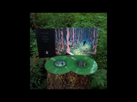 Wanderwelle - Lost In A Sea Of Trees - full album (2017)