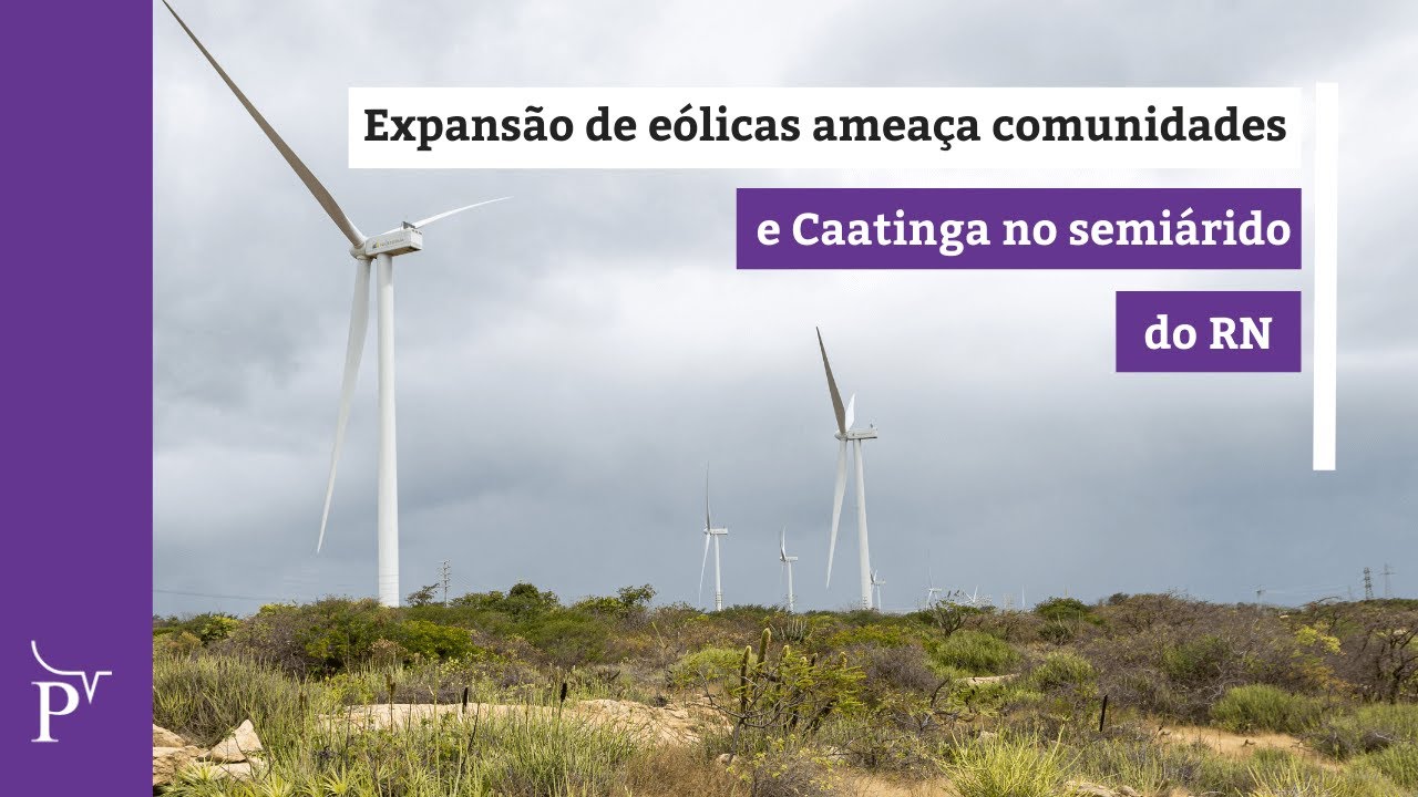 Expansão de eólicas ameaça comunidades e Caatinga no semiárido do Rio Grande do Norte