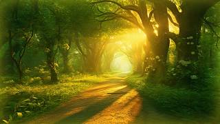 🔴 Relaxing Zen Music 24/7, Healing Music, Meditation Music, Spa Music, Sleep | Ambient Zen Music