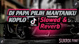 Download lagu DJ PAPA PILIH MANTANKU KOPLO ( Slowed & Reverb) 🎧 mp3