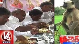 Langur Security for Telangana Ministers at Haritha Haram Program | Warangal | Teenmaar News | V6News