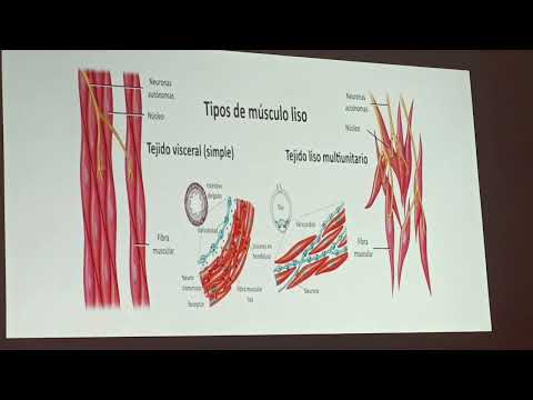 Biología 2 - clase 4 - evaluación 1