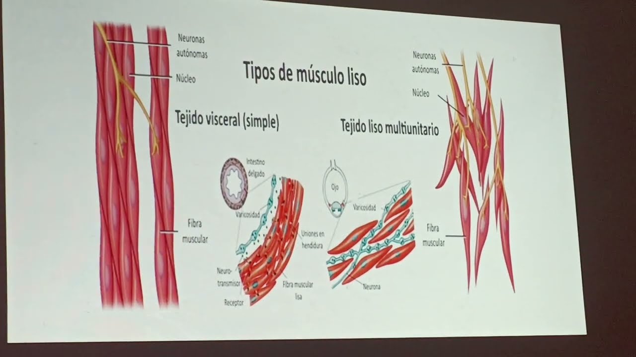 Biología 2 - clase 4 - evaluación 1