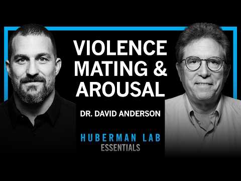 @hubermanlab - "Essentials: The Biology of Aggression, Mating & Arousal | Dr. David Anderson"