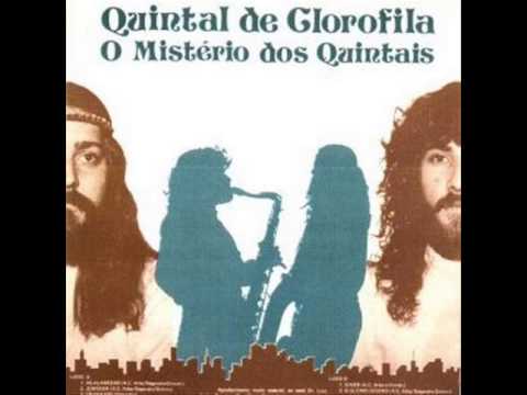 04 - Liverpool - Quintal de Clorofila