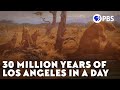 How Plate Tectonics Transformed Los Angeles