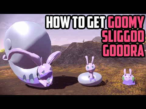 How to Catch Goomy, Sliggoo AND Goodra EARLY! - Pokémon Legends: Arceus
