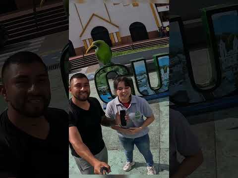 Lo que NADIE te cuenta de Guática 😳🇨🇴