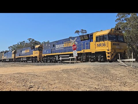 6PM6 PN up "Linfox Express #1" (NR36 NR85 G530), Perth to Melbourne, 1550, 9/12/24, Ararat West VIC