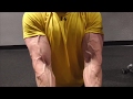 Young Bodybuilder The Blonde Savage Pumping and Flexing Insanely Vascular Muscles