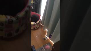 貯金箱が…