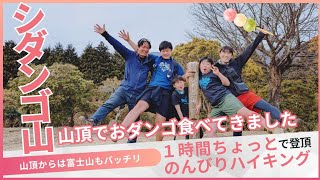 【シダンゴ山】登山　タコチバ山、宮地山を縦走、賑やかに周遊コースをまわる家族登山　