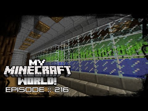 MY MINECRAFT WORLD! | SUGARCANE FARM DESIGN! | Episode 216 (Let's Play 1080p)
