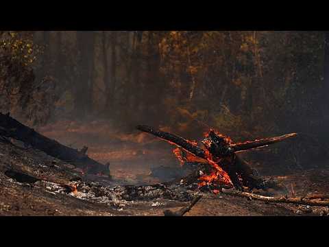 Video Thumbnail: Thousands evacuated as wildfire spreads in southwestern France