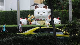 My Haiku and Photos~The Lucky Cat