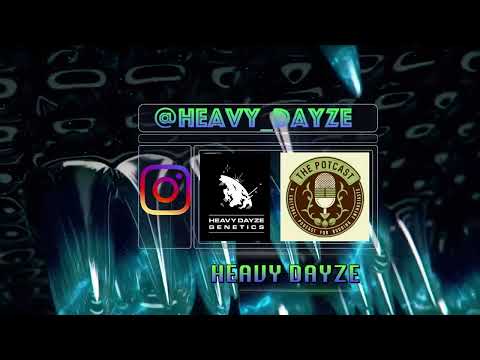 Heavy Dayze