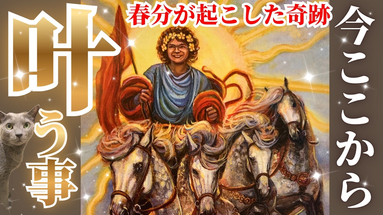 🌸春分で世界変わりました🌸今ここから叶っていく事🌞✨あなたの夢希望は叶います🤩㊗️🎊目に止まった今がタイミングです［タロット/占い/オラクル/ルノルマン/仕事/恋愛成就/龍神］