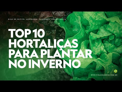 , title : 'TOP 10 HORTALIÇAS para PLANTAR no INVERNO'