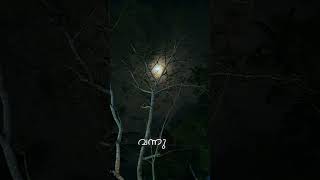 Download lagu pularan thudangum oru rathriyil whatsapp status mp3