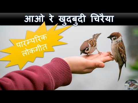 बन की एक चिरैया नई नगरिया आई रे — वीडियो थंबनेल