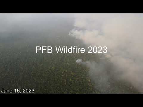 PFB Wildfire 2023