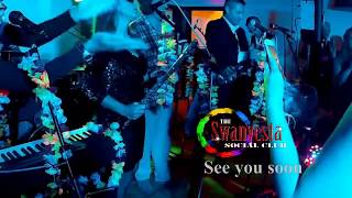 Lights Camera Wedding