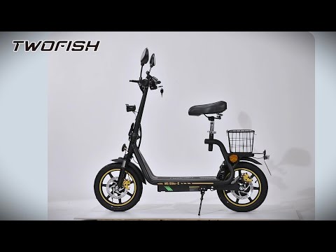 TWOFISH M5 Elite E EEC zertifizierter E Scooter Unboxing  500W 48V 13Ah  Straßenzulassung in EU
