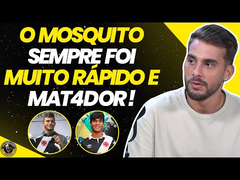 O QUE ACONTECEU COM O MOSQUITO E O ÍNDIO ?