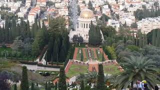 How to Combine Formal and Informal Planting for Beauty in Your Garden