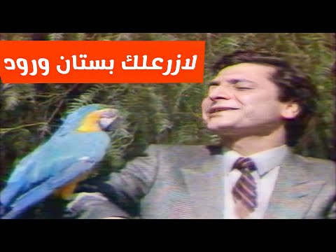 فؤاد غازي لازرعلك بستان ورود تلفزيون العراق التصوير الاصلي لاول مرة