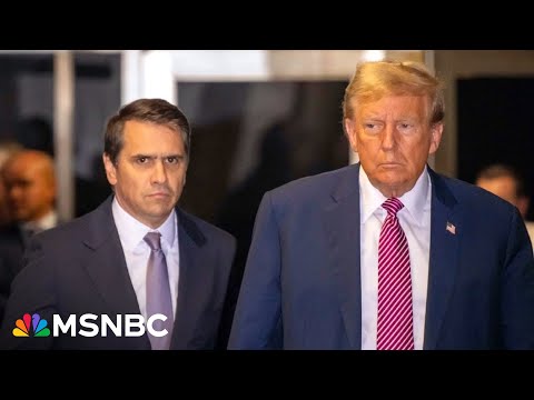 'People's lawyer' or 'Trump's lawyer'? Democrats grill Deputy ...