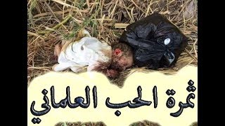 صورة حد الرجم في الإسلام؟ - ملحد يسأل والدكتور يجيب