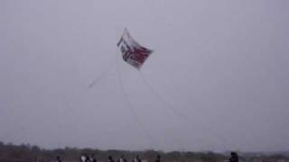 preview picture of video '座間の大凧祭り 中凧掲揚 2010/05/04 PM13:00 Large kite festival of Zama'