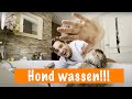 Sjakie wassen met Floris! | DierenpraatTV