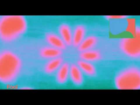 Bay Ledges - Fool (Official Visualizer)