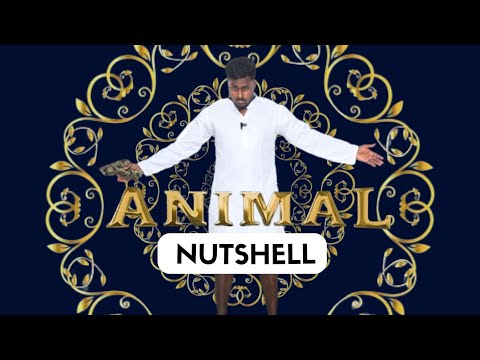 Animal Movie In Nutshell #vikkals #shorts