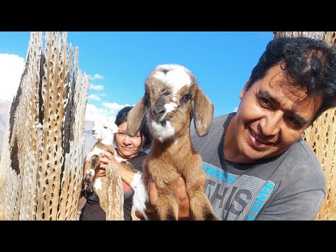 SEMANA SANTA 2024 EN EL ANGOSTO DE YACORAITE  - JUJUY ( QUEBRADA DE HUMAHUACA ) FLIA SALAS