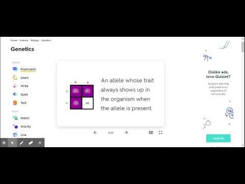 Genetics Flashcards Quizlet