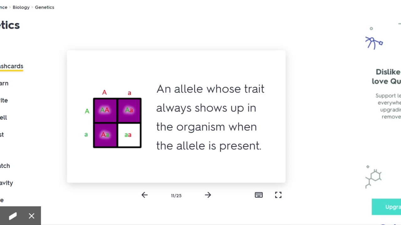 Genetics Flashcards | Quizlet