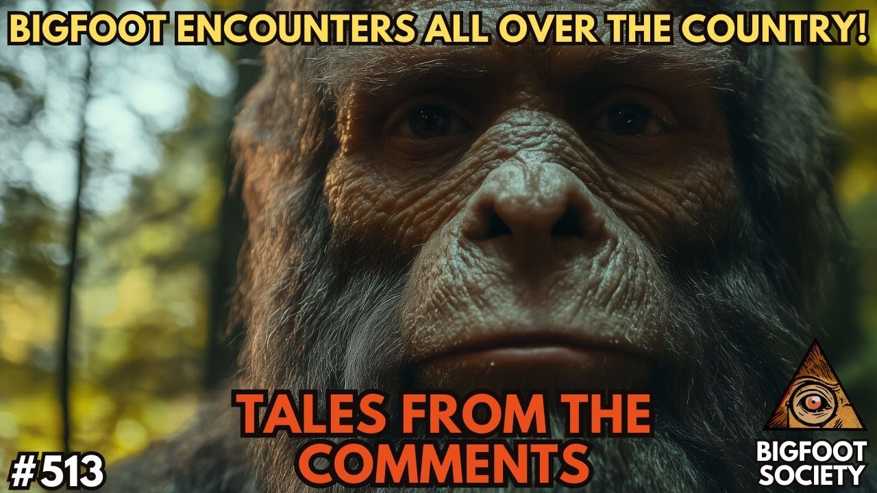 Bigfoot Encounters All Over the USA! Tales from the Comments