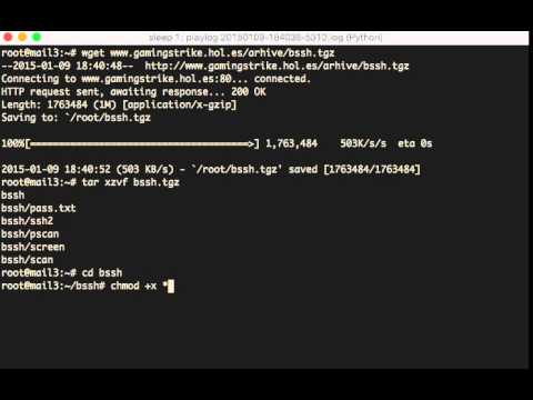 Random hacker caught in SSH honeypot Kippo