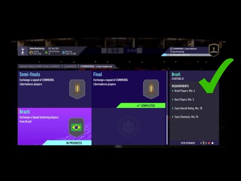 BRAZIL SBC - FIFA 21 Conmebol Libertadores