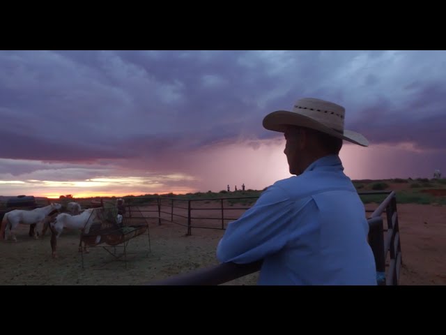 Video teaser for DJI Osmo - Moments