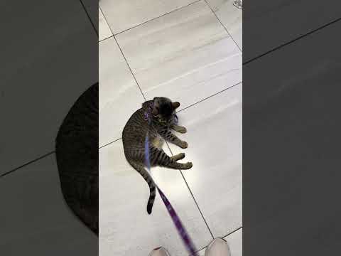 Fiona, no quiso caminar! 😱