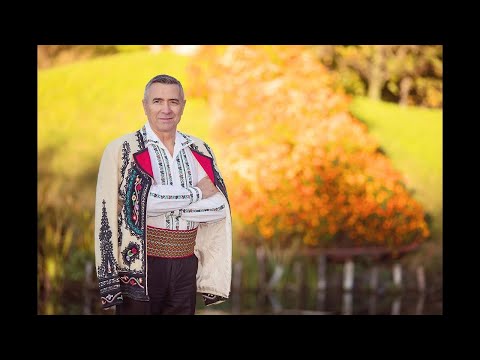 COLAJ ALBUM NELU BITAINA - DA-MI DOAMNE ANII NAPOI