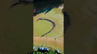 Download lagu 🐠 KOI HARVEST SEASON IS SO PEACEFUL #fish #koi #koifish #japan #japanesekoi #koibreeder mp3