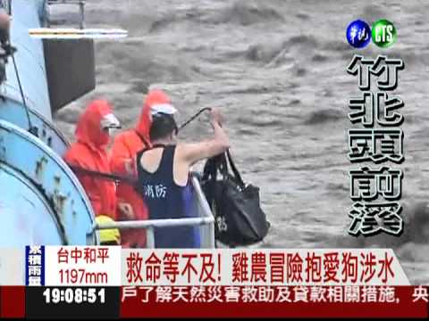 惡水沖毀雞寮 雞農爬樹上求救